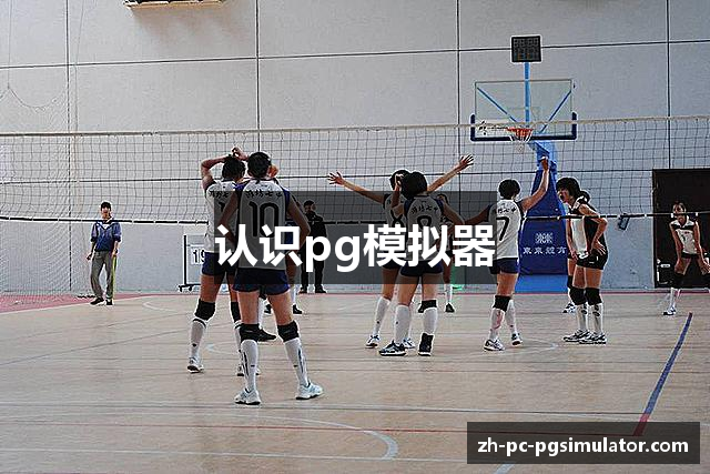 认识pg模拟器